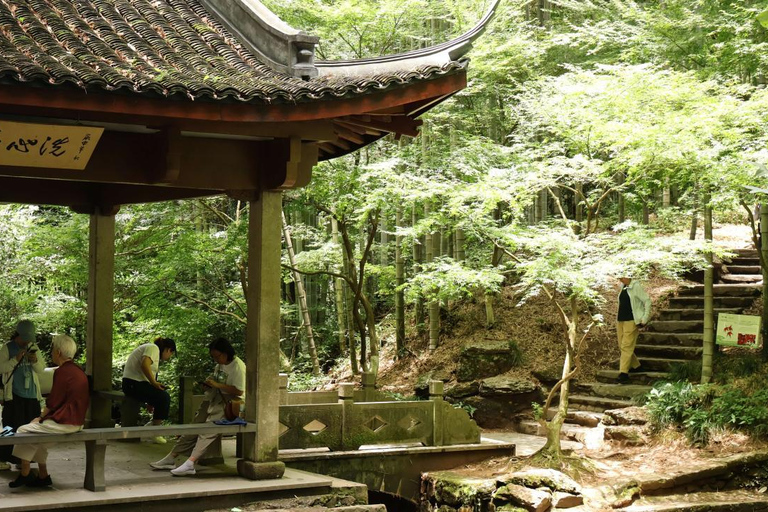 Hangzhou Yunqi Bamboo Trail Admission Ticket