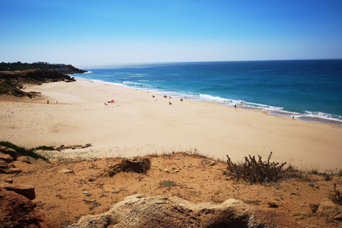 A partir de Sevilha: viagem de 2, 3 ou 4 dias ao Marrocos com ferry e guiaSevilha: viagem de 4 dias ao Marrocos