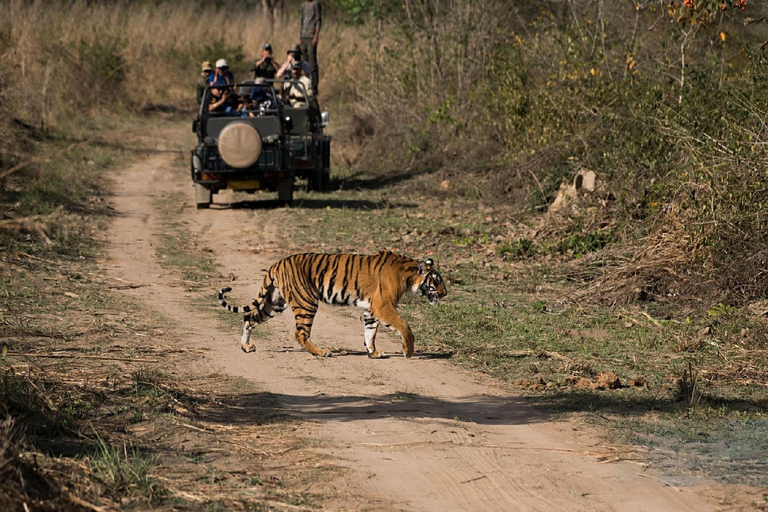 Jaipur: Ranthambore National Park Safari with Hotel Pickup