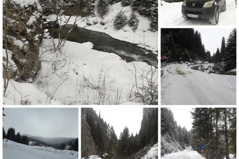 Bucharest: Bucegi Mountains Jeep Tour with Peles Castle