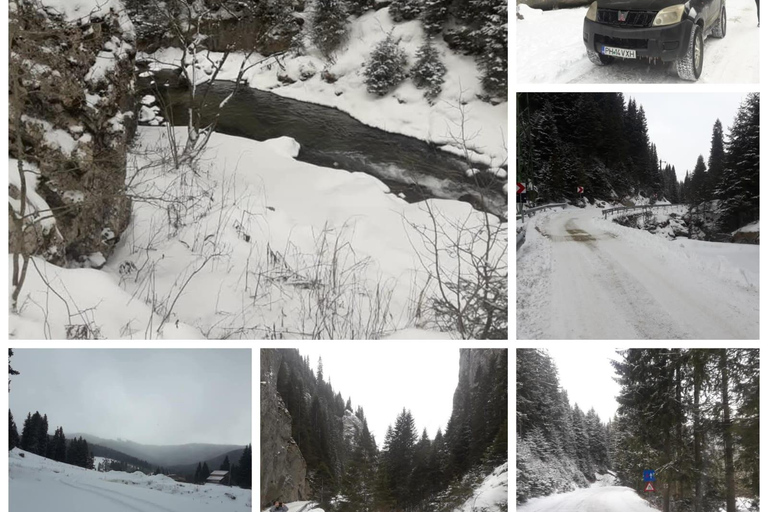 Bucharest: Bucegi Mountains Jeep Tour with Peles Castle