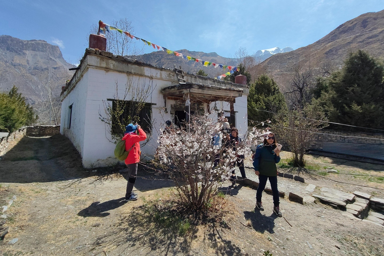 Kathmandu: tour di 5 giorni nel Lower Mustang in 4 ruote motrici con sorgenti termali