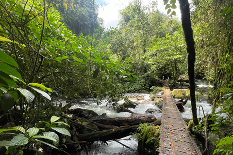 Jakarta: Regenwaldwanderung zu Wasserfall und HängebrückeKurze Wanderung (1,5 km)