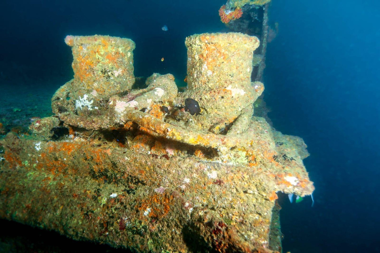 Mirissa: Scuba/Wreck Diving Experience (Shallow & Deep)