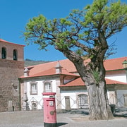 Lamego: 2-Hour Downtown Walking Tour