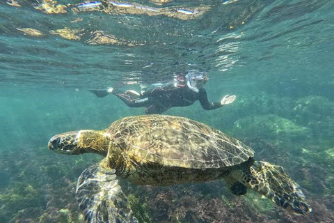 San Cristóbal: 360° Navigable Tour with Lunch & Snorkeling
