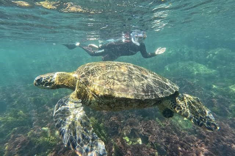 San Cristóbal: 360° Navigable Tour with Lunch & Snorkeling