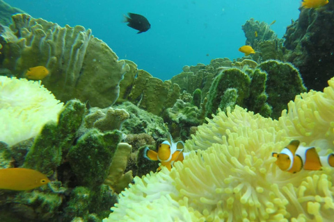 Koh Lanta: Koh Rok and Koh Haa Snorkeling Adventure