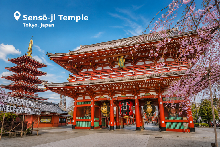Tokyo Private Customizable City Highlights Guided Tour