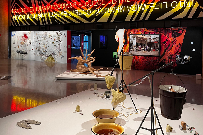 São Paulo: Underground Culture and Arts TourSão Paulo: tour door de undergroundcultuur en -kunst