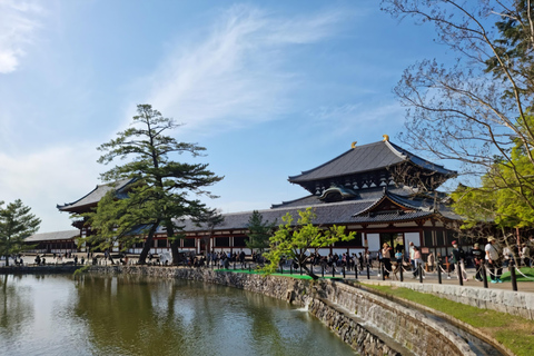 Nara: Private Car Tour of Hidden Gems & Ancient Icons