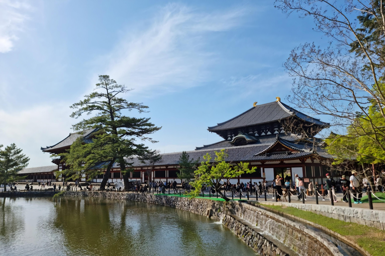 Nara: Private Car Tour of Hidden Gems & Ancient Icons
