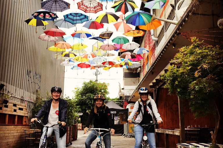 Zurich: Urban Bike Tour with a Local Guide