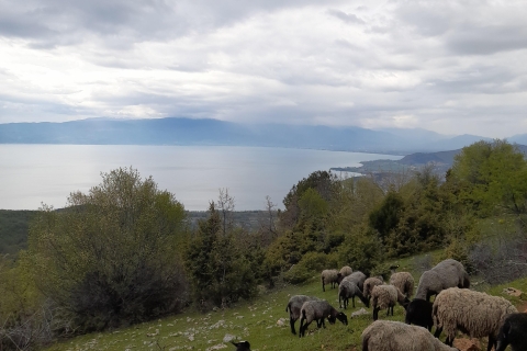 Experiencia BTT Skopje-Ohrid: Vistas interminables de Macedonia