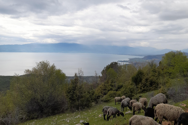 Skopje-Ohrid MTB ervaring: Eindeloze uitzichten over Macedonië