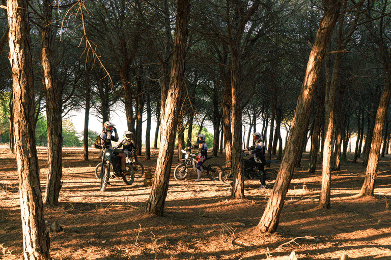 Lagos, Algarve: Adventure Tours on Surron Electric Dirtbikes Golden Cliffs Tour