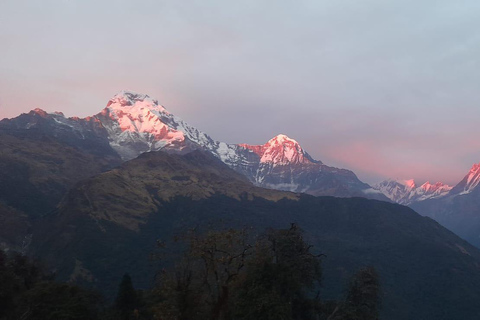 Pokhara: Geführte Tageswanderung von Dampus zum Australian Base Camp