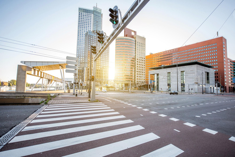 Rotterdam: Expresswandeling met een local in 90 minuten