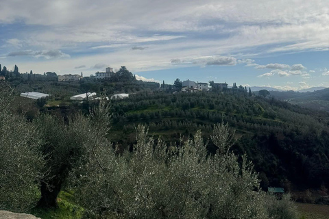 Golf Cart "FIRENZE EXPRESS": Tour Esclusivo
