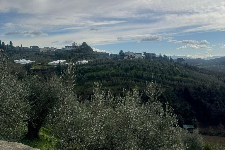 Golf Cart "FIRENZE EXPRESS": Tour Esclusivo