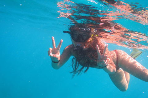 Waikiki: AM Paradise Honu SnorkelingWaikiki: AM Paradise Honu Snorkelen