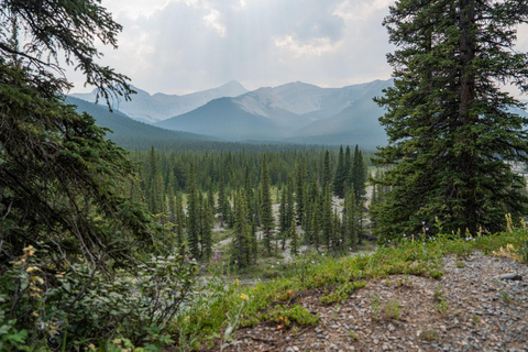 Canmore: 3 Hour Local Explorer Tour and Hike with a Guide
