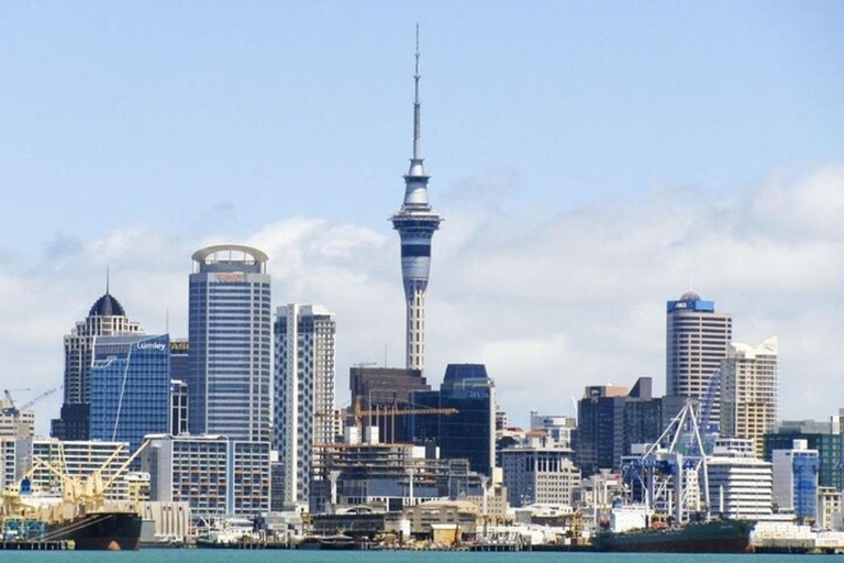 Auckland: Best Street Food Tour With A Local Guide Auckland: 3 Hours Private Food Tasting Walking Tour
