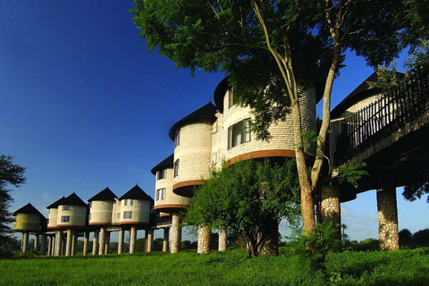 Tsavo East and Salt Lick Safari Lodge 2-Day Tour