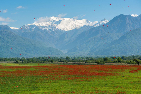 Excursión de un día a Gabala y Shamakhi con almuerzo