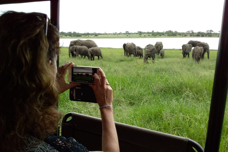 4-Day Kruger Park and Manyeleti Safari Tour