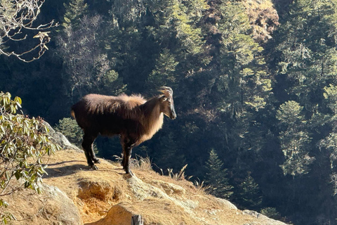 Guided Everest Base Camp 12-day Trek with Lukla Flight Guided Everest Base Camp Trek with Lukla Flight