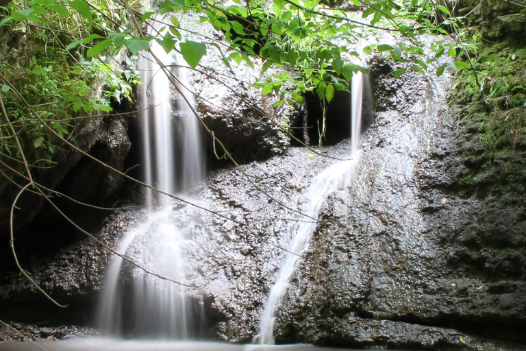 Kiszyniów: wycieczka piesza, klasztor w jaskini i klasztor CurchiKiszyniów: Wycieczka piesza, klasztor jaskiniowy i klasztor Curchi