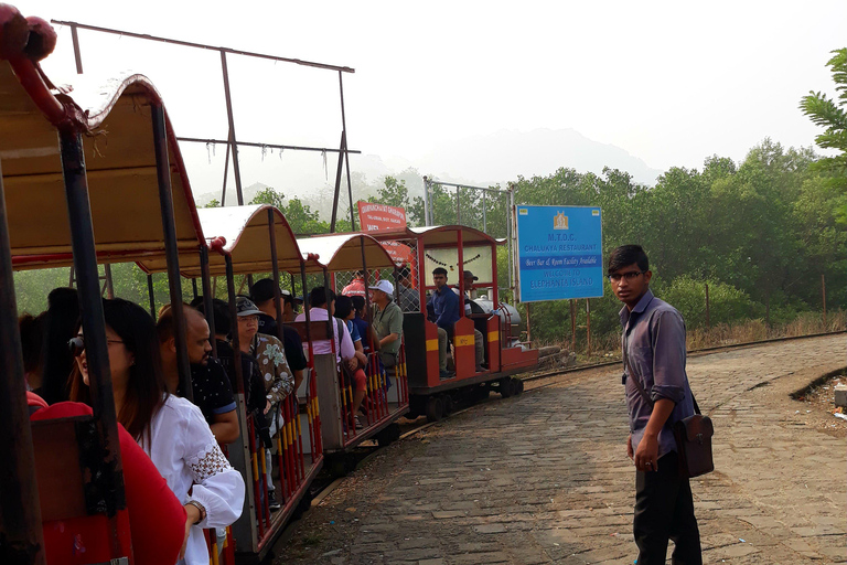 Visite d'une demi-journée guidée des grottes d'Elephanta