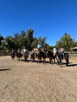 Tuscon, Rancho de Los Cerros Horseback Riding Tour - Housity