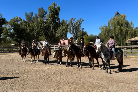 Tuscon: Rancho Cerros Horseback Riding Tout with Great Views
