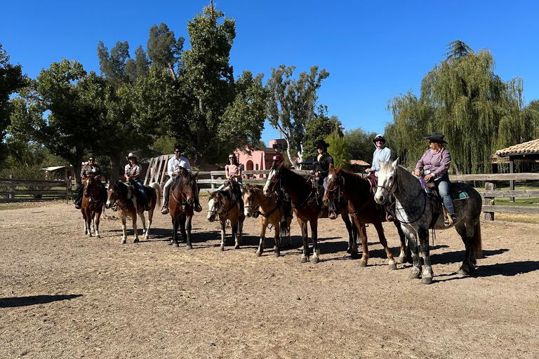 Tuscon: Rancho Cerros Horseback Riding Tout with Great Views