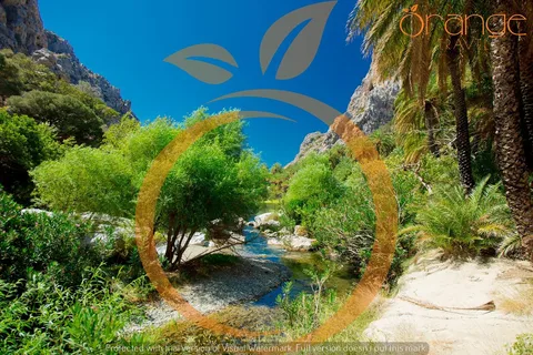 Héraklion : Visite d'une jounée de la forêt de palmiers de Preveli