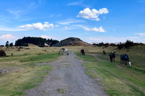 Przygoda z jazdą konną w Cusco