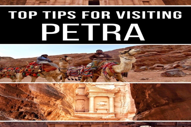 Von Amman aus: Private Tagestour nach Petra und zum Toten Meer (mit Mittagessen)Von Amman aus: Private Tagestour nach Petra und zum Toten Meer