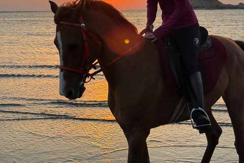 Passeios a cavalo em Omã