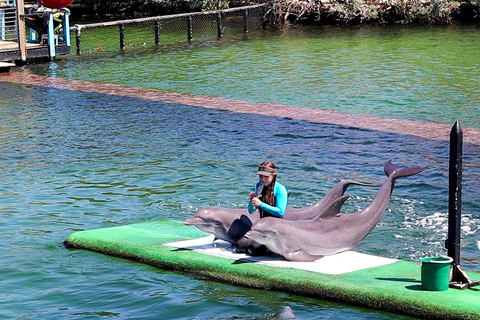 VIP 5-Island Speedboat Tour + Open Bar and Stops at Private Islands