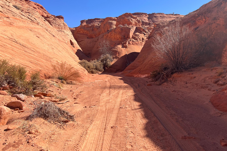 Page: Wind Castle Canyon Tour with Navajo Guide