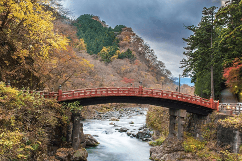 From Tokyo: Nikko Private Customized Day Tour English Guide From Tokyo: Nikko Private Customized Tour With English Guide
