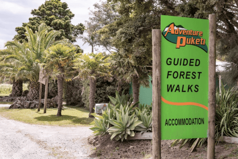 Bay of Islands: Full-Day Rainforest Hike, Lunch Included