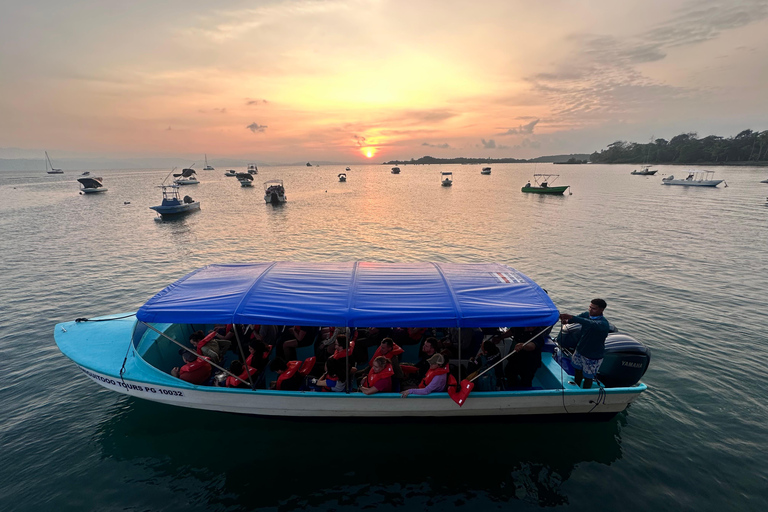 Puerto Jiménez: Private 1-Day Tour to Sirena in Corcovado