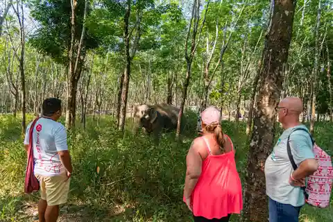 Khaolak Hightlight Tour avec Eco Guide Adventure