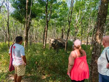 Khaolak Hightlight Tour avec Eco Guide Adventure