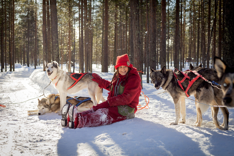 Rovaniemi: Meet Santa's Most Trusted Husky Dogs