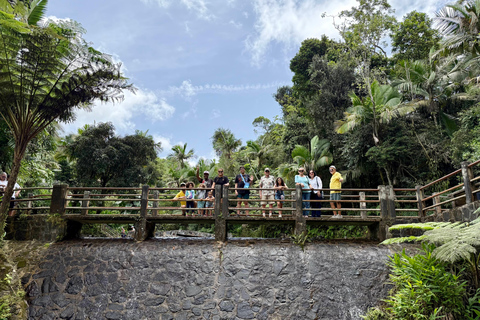El Yunque Rainforest: EZ-Going Bus Tour (Accessible)