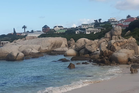 Cidade do Cabo:Nadar com os pinguins Boulders Beach cape point